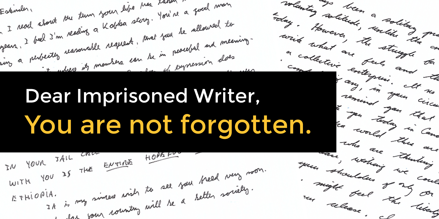 Imprisoned Writer 2015