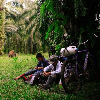 Two boys take a break on one of the farms repossessed by the Campesino Movement of the Aguan (MCA). Market demands have dictated which crops are cultivated on plantations in the region, fluctuating between bananas, coconuts, pineapples and citrus fruits, until more recently, when most of the area has been given over to palm oil trees.