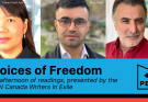 Voices of Freedom reading series: June edition